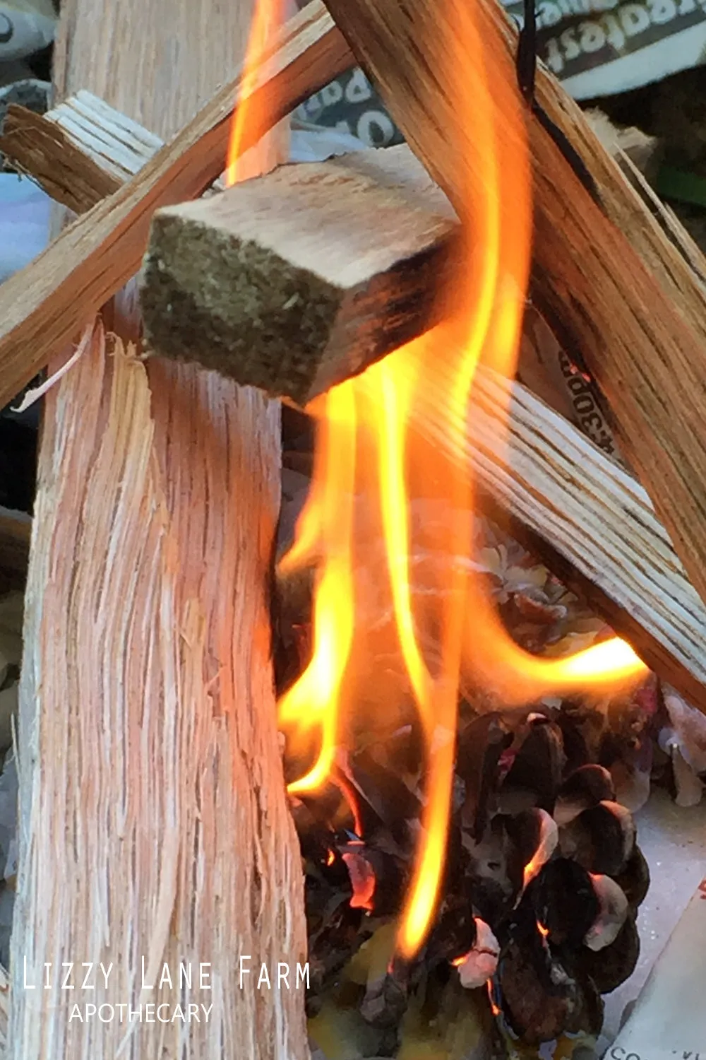 Herbal Fire Starter-large single use, pinecone fire starter