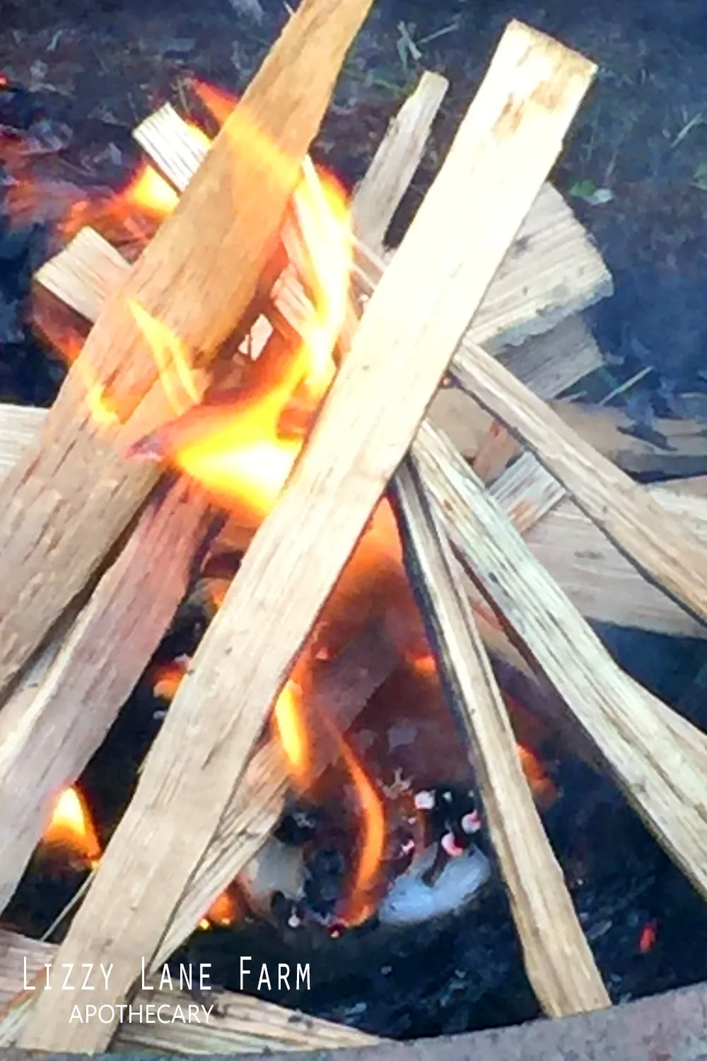 Herbal Fire Starter-large single use, pinecone fire starter