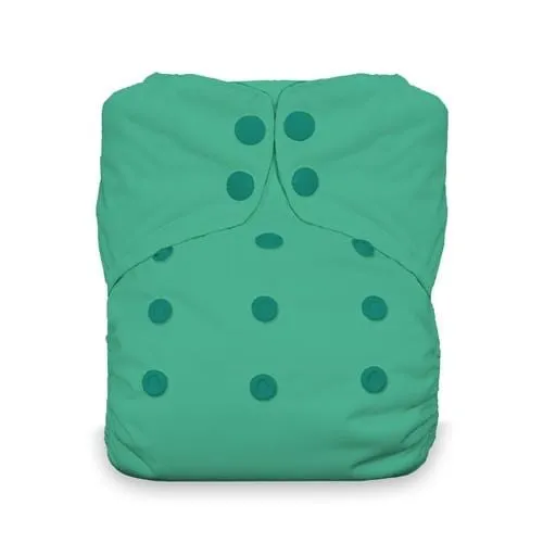 Thirsties All In One - One Size